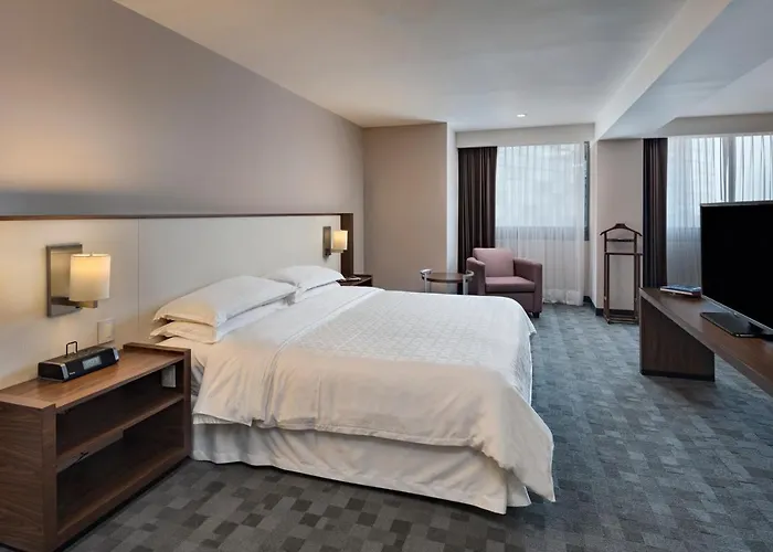 Sheraton Santa Fe, 5* México DF